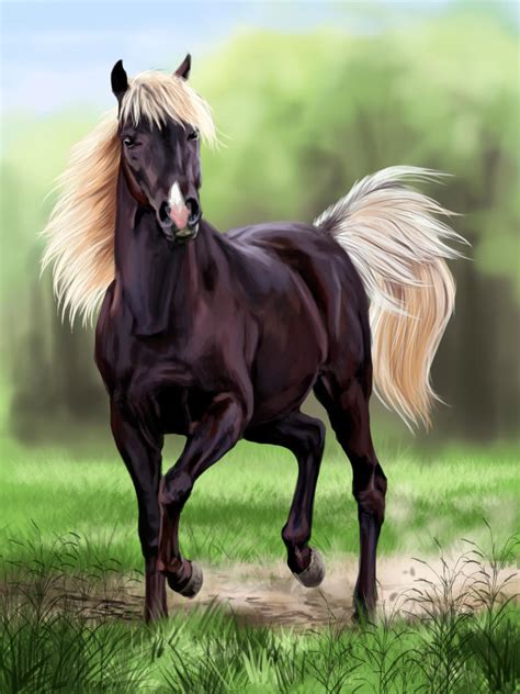 deviantart horse|More.